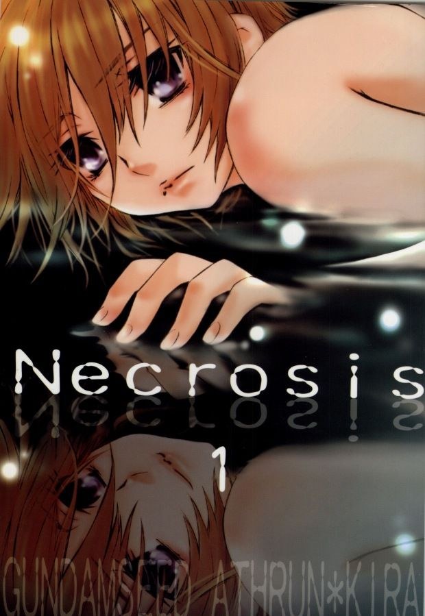 【BLエロ同人誌】アスラン×キラ「Necrosis」【ガンダムSEED】