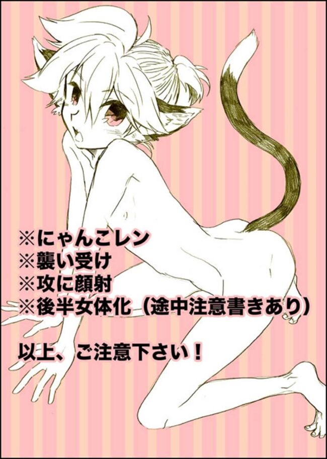 【VOCALOID BLエロ同人誌】がくぽから引き受けた猫が猫耳レンになり困惑するKAITO。 (2)